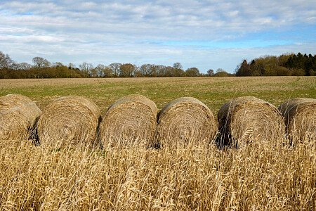 0919 -  filming photoshoot location-178