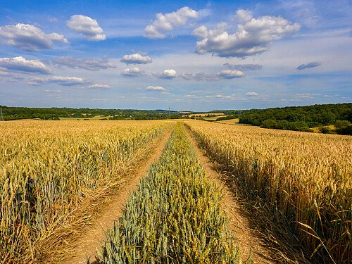 0919 -  filming photoshoot location-179