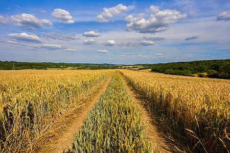 0919 -  filming photoshoot location-179