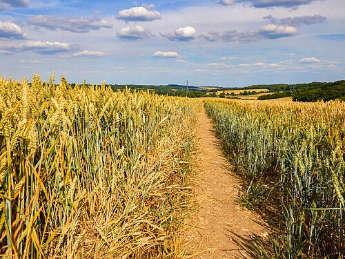 0919 -  filming photoshoot location-180