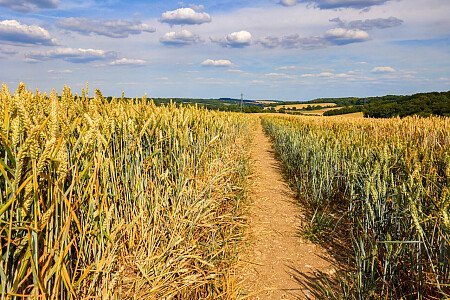 0919 -  filming photoshoot location-180