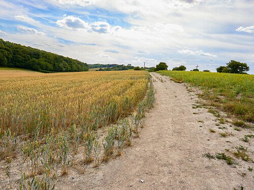 0919 -  filming photoshoot location-182