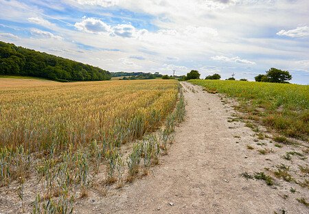 0919 -  filming photoshoot location-182