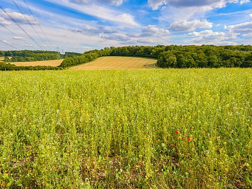 0919 -  filming photoshoot location-183