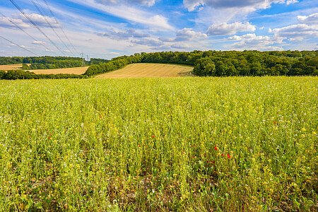 0919 -  filming photoshoot location-183