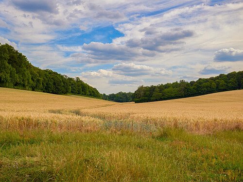 0919 -  filming photoshoot location-186