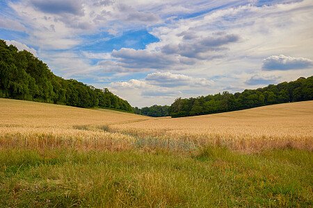 0919 -  filming photoshoot location-186