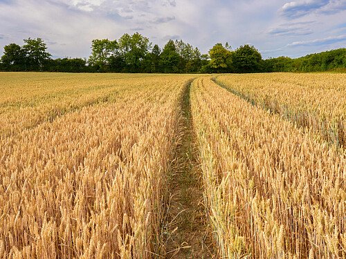 0919 -  filming photoshoot location-185