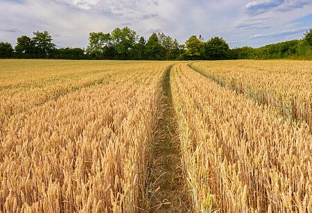 0919 -  filming photoshoot location-185