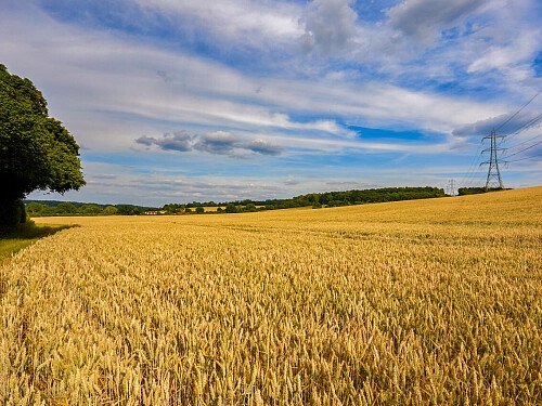 0919 -  filming photoshoot location-187