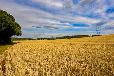 0919 -  filming photoshoot location-187