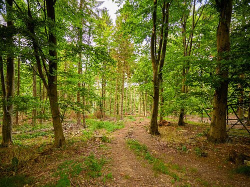 0919 -  filming photoshoot location-188