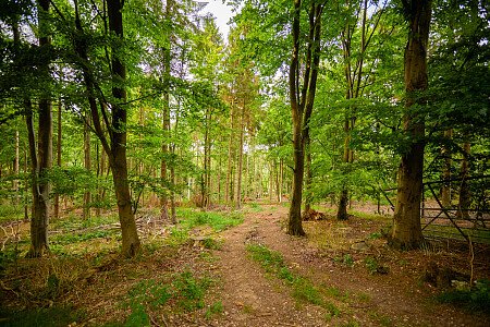 0919 -  filming photoshoot location-188