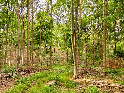 0919 -  filming photoshoot location-190