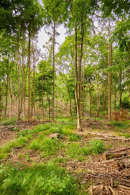 0919 -  filming photoshoot location-190