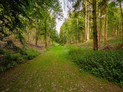 0919 -  filming photoshoot location-191