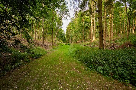 0919 -  filming photoshoot location-191