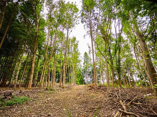 0919 -  filming photoshoot location-192