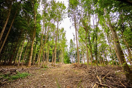 0919 -  filming photoshoot location-192