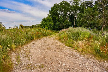 0919 -  filming photoshoot location-194