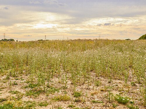 0919 -  filming photoshoot location-193