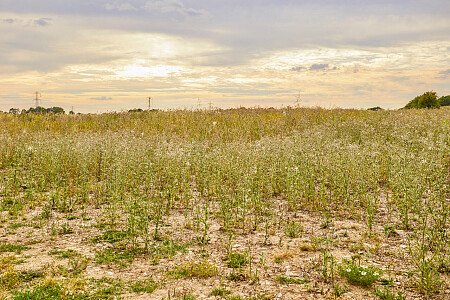 0919 -  filming photoshoot location-193