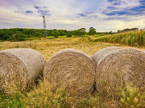 0919 -  filming photoshoot location-196