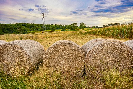 0919 -  filming photoshoot location-196