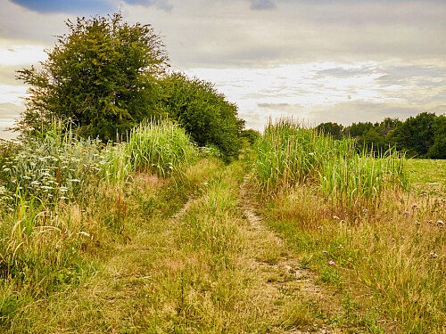 0919 -  filming photoshoot location-195