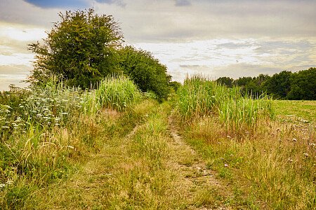 0919 -  filming photoshoot location-195