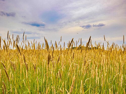 0919 -  filming photoshoot location-198