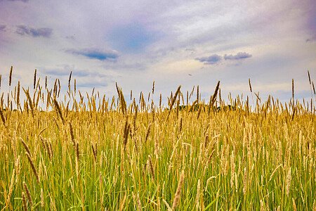 0919 -  filming photoshoot location-198