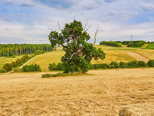 0919 -  filming photoshoot location-200