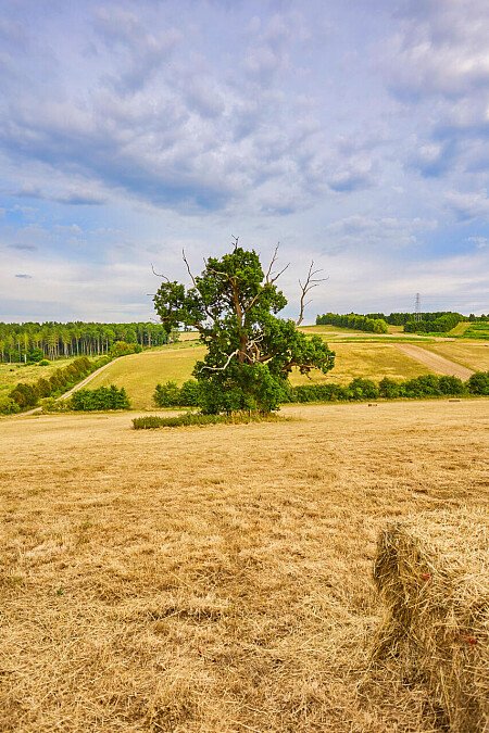 0919 -  filming photoshoot location-200