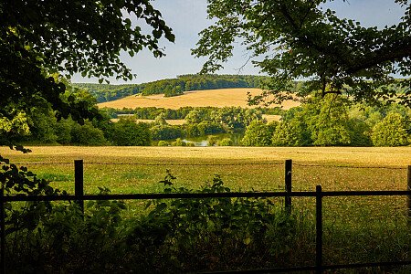 0919 -  filming photoshoot location-201