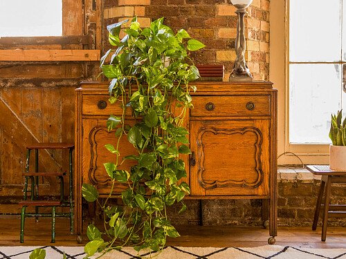 1030 -  filming photoshoot location-22