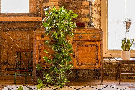 1030 -  filming photoshoot location-22