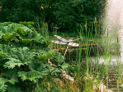 1488 -  filming photoshoot location-62