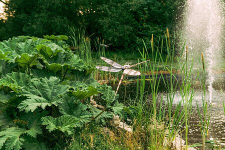 1488 -  filming photoshoot location-62