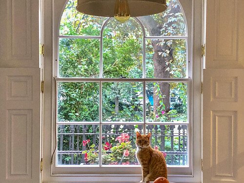 1718 -  filming photoshoot location-21