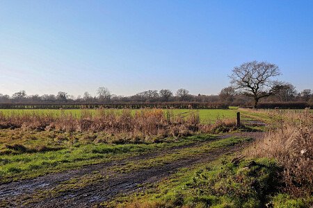 1424 -  filming photoshoot location-75