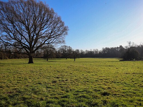 1424 -  filming photoshoot location-78