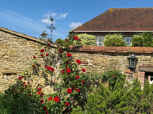 2043 -  filming photoshoot location-074