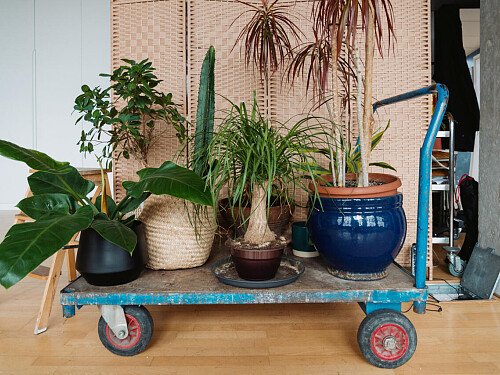 0964 -  filming photoshoot location-23