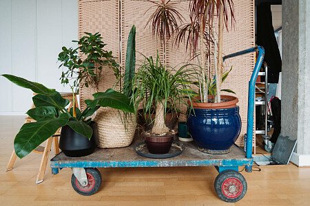 0964 -  filming photoshoot location-23