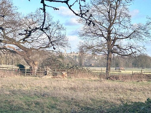 2023 -  filming photoshoot location-60