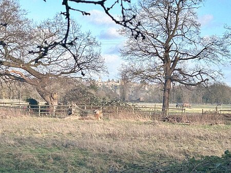 2023 -  filming photoshoot location-60