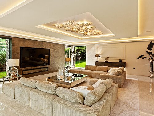 Trees Modern  - Filming Locations Locations Direct -31