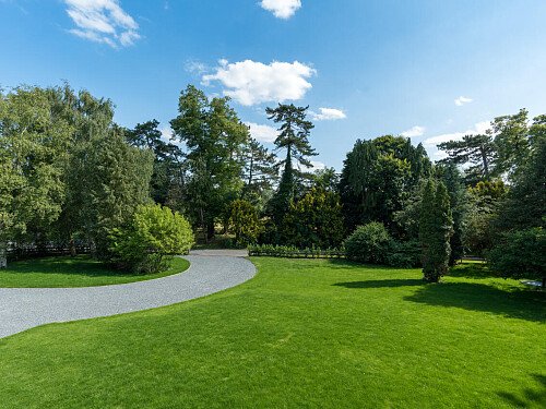 Trees Modern  - Filming Locations Locations Direct -40