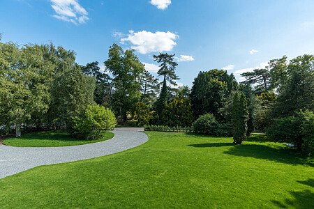 Trees Modern  - Filming Locations Locations Direct -40